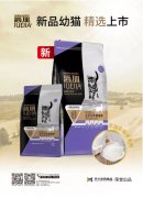 爵加新品幼貓精選上市！